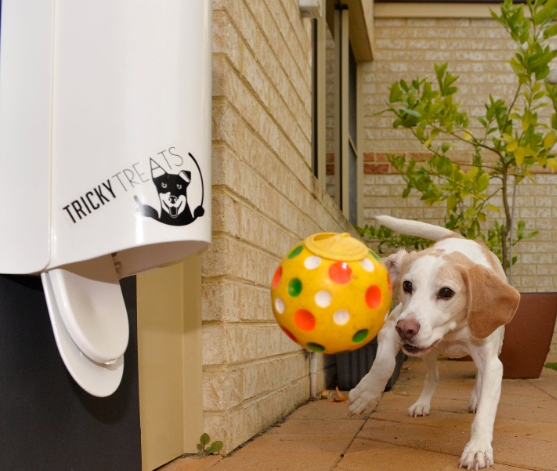 Tricky Treats – Dog Treat Dispenser
